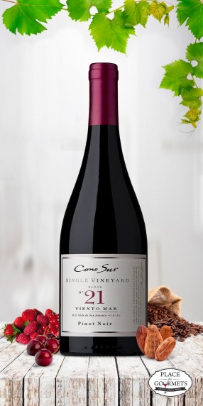 Cono Sur Single Vineyard Viento Mar 21 vin du Chili 2014