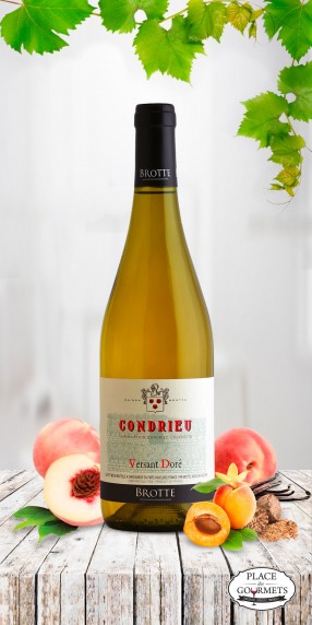 Versant Doré vin de Condrieu 2017