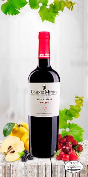 Gimenez Mendez - Alta Reserva Malbec vin d'Uruguay 2013